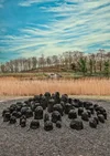 : A landscape photograph showing a black sculpture on the ground, with trees and blue sky behind