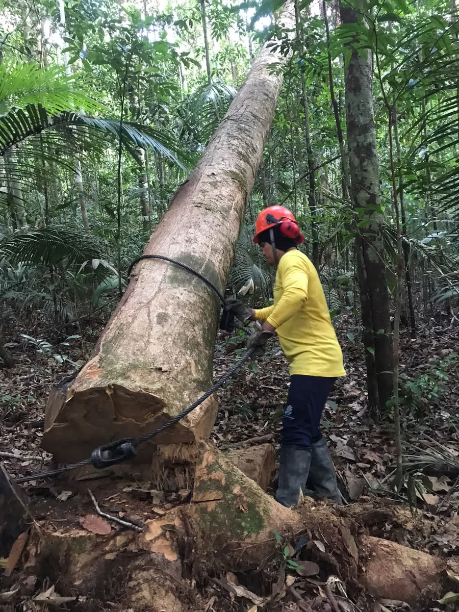 Equipe do projeto Digitais da Floresta em campo para coleta de amostras