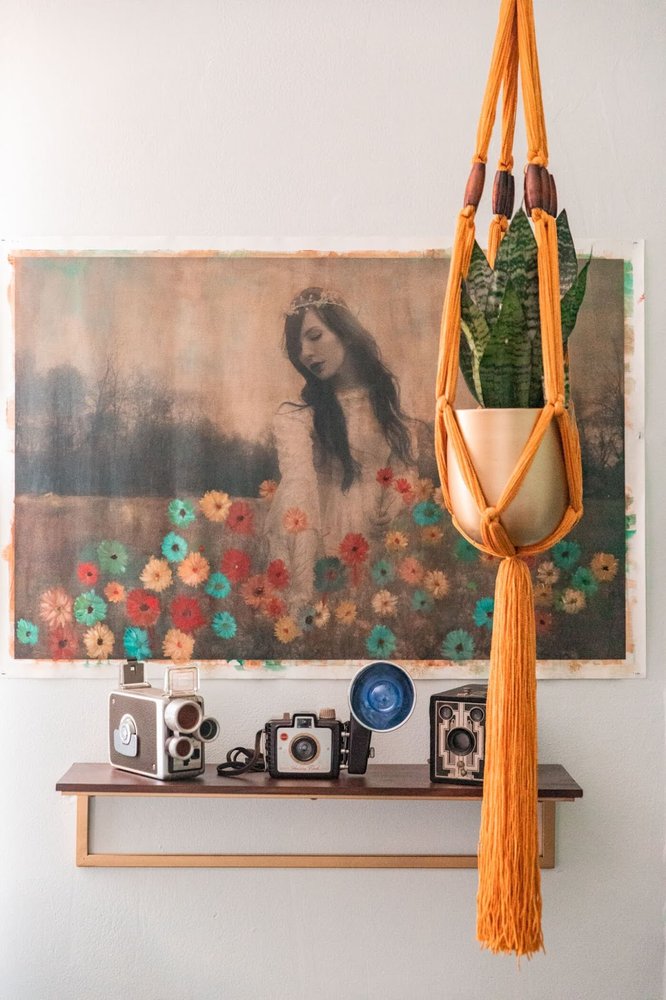 Cameras sit on a shelf below a photo adorned with painted flowers