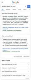 Multifaceted featured snippet