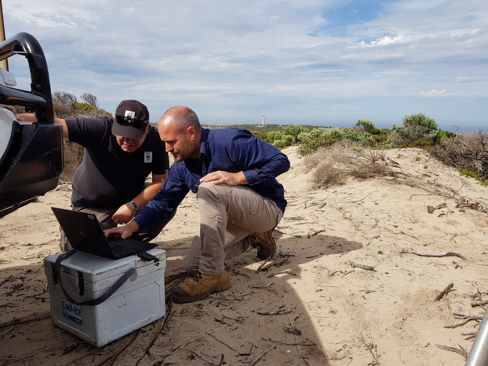 Checking camera traps