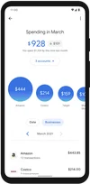 An example of how you can use the Google Pay app to stay on top of your money