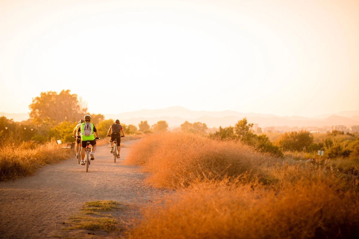 Three bikers riding along a dirt trail.