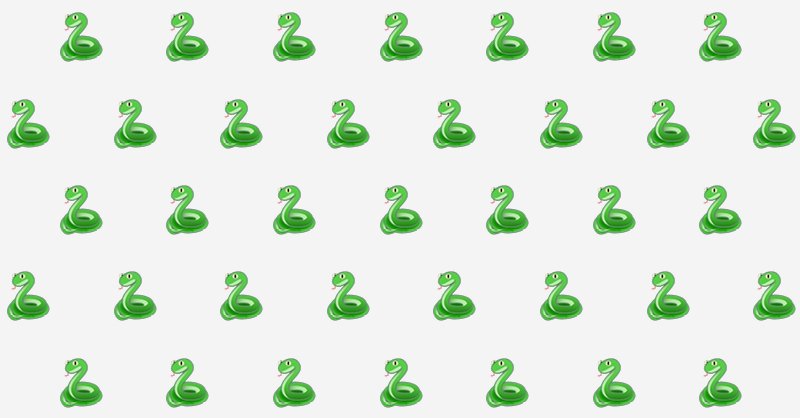 snake_blog.jpg