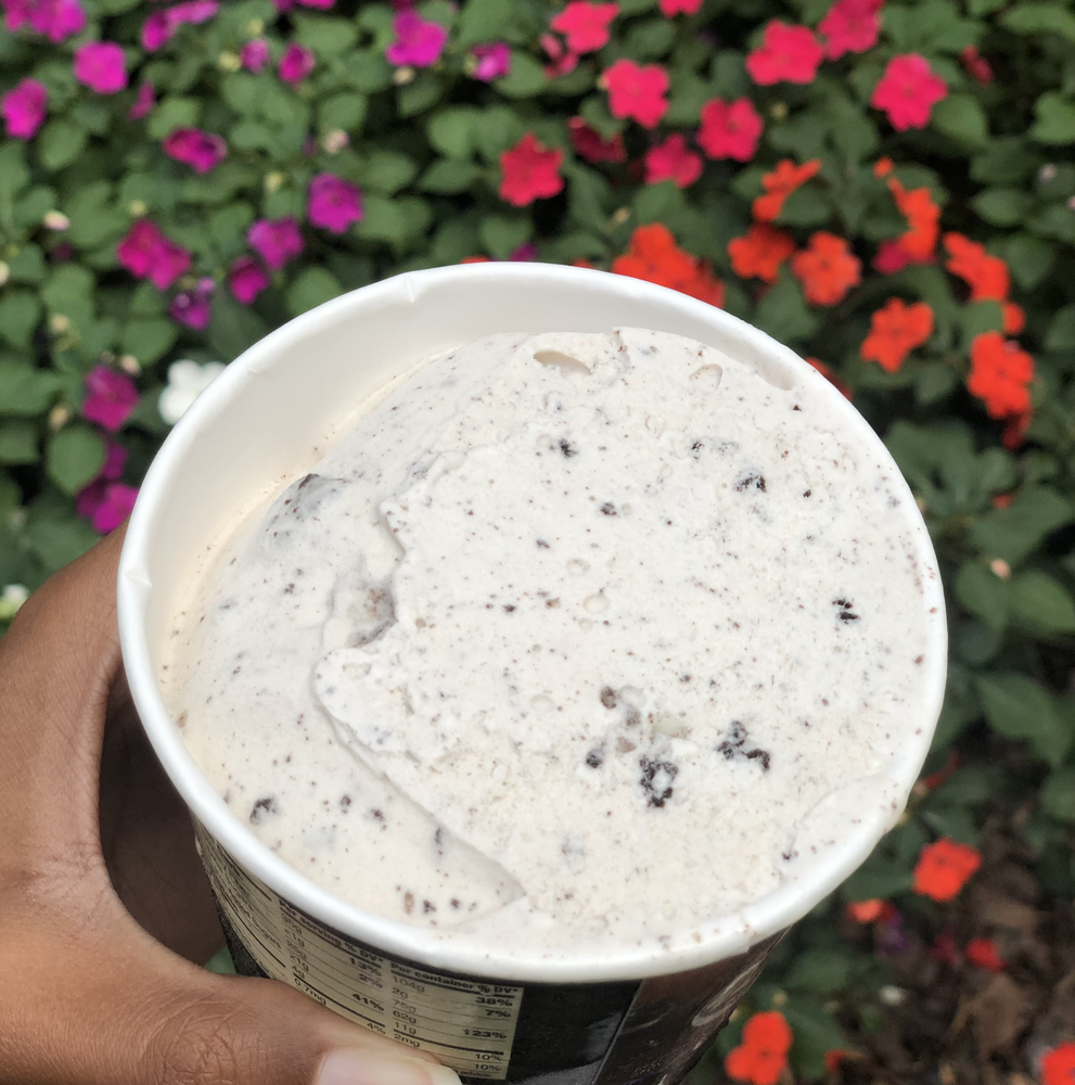 A hand holding a pint of cookies and cream ice cream. A flower bush is in the background.
