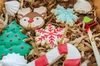 Christmas-themed, frosted sugar cookies sit on a bed of shredded brown paper.
