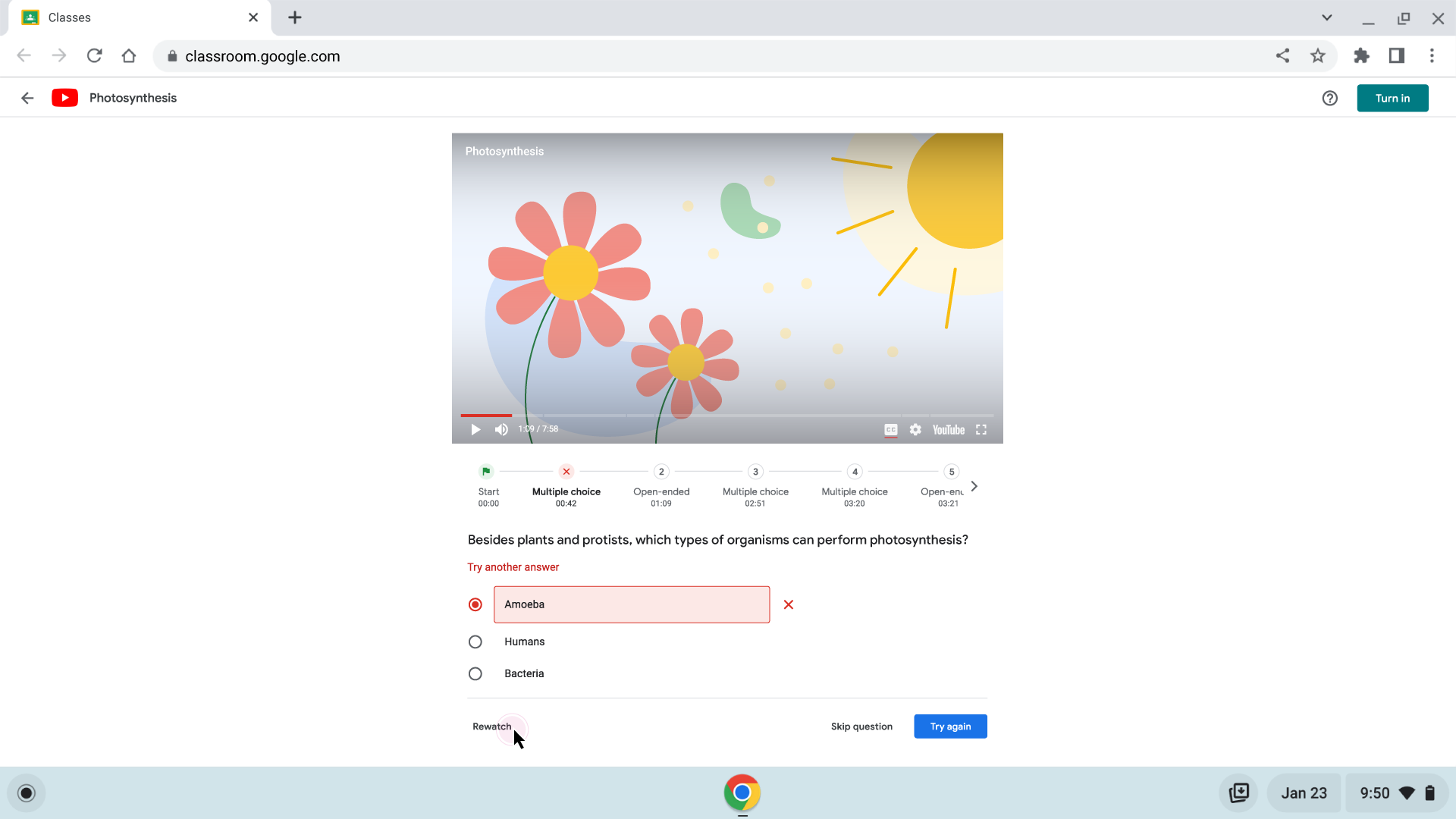 A YouTube video depicting illustrated flowers and the sun has a multiple-choice question underneath it. A student has selected “Amoeba,” which is an incorrect answer.