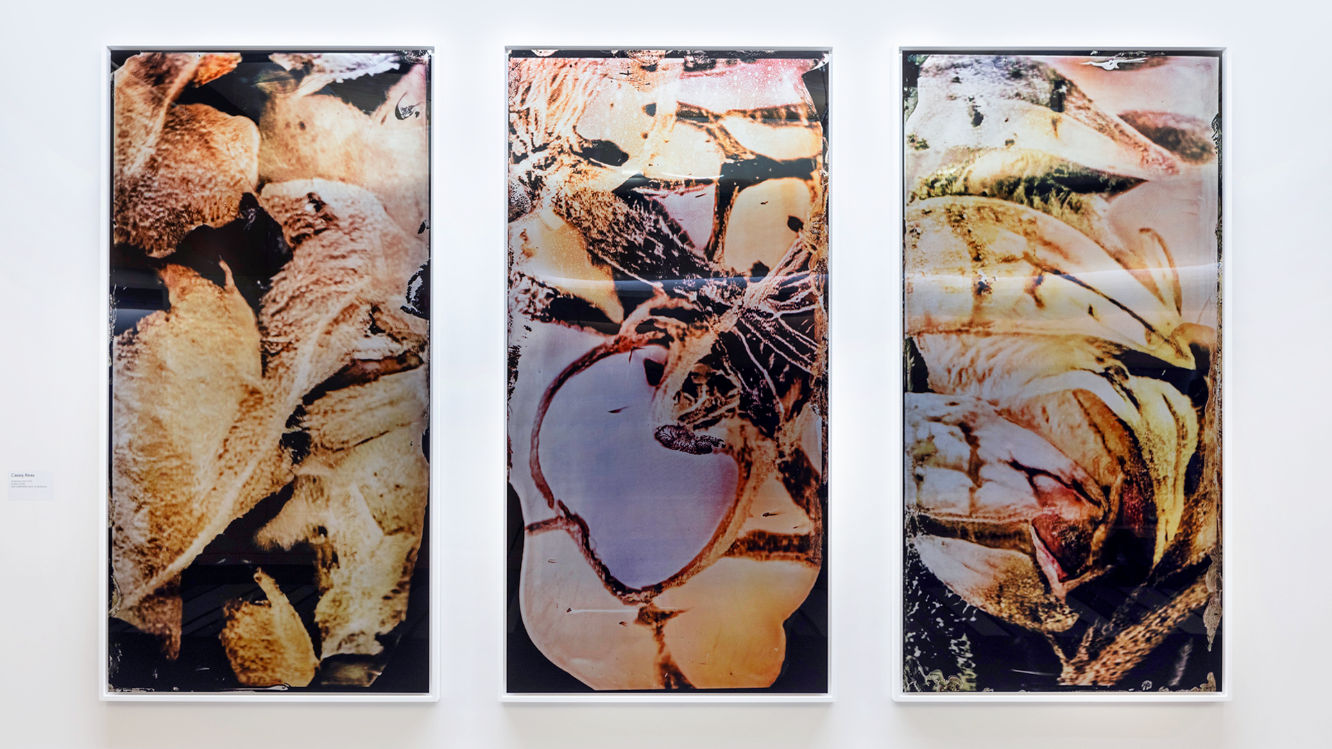 Abstract triptych: textured organic forms (browns, tans, black); central panel has purple/orange oval.