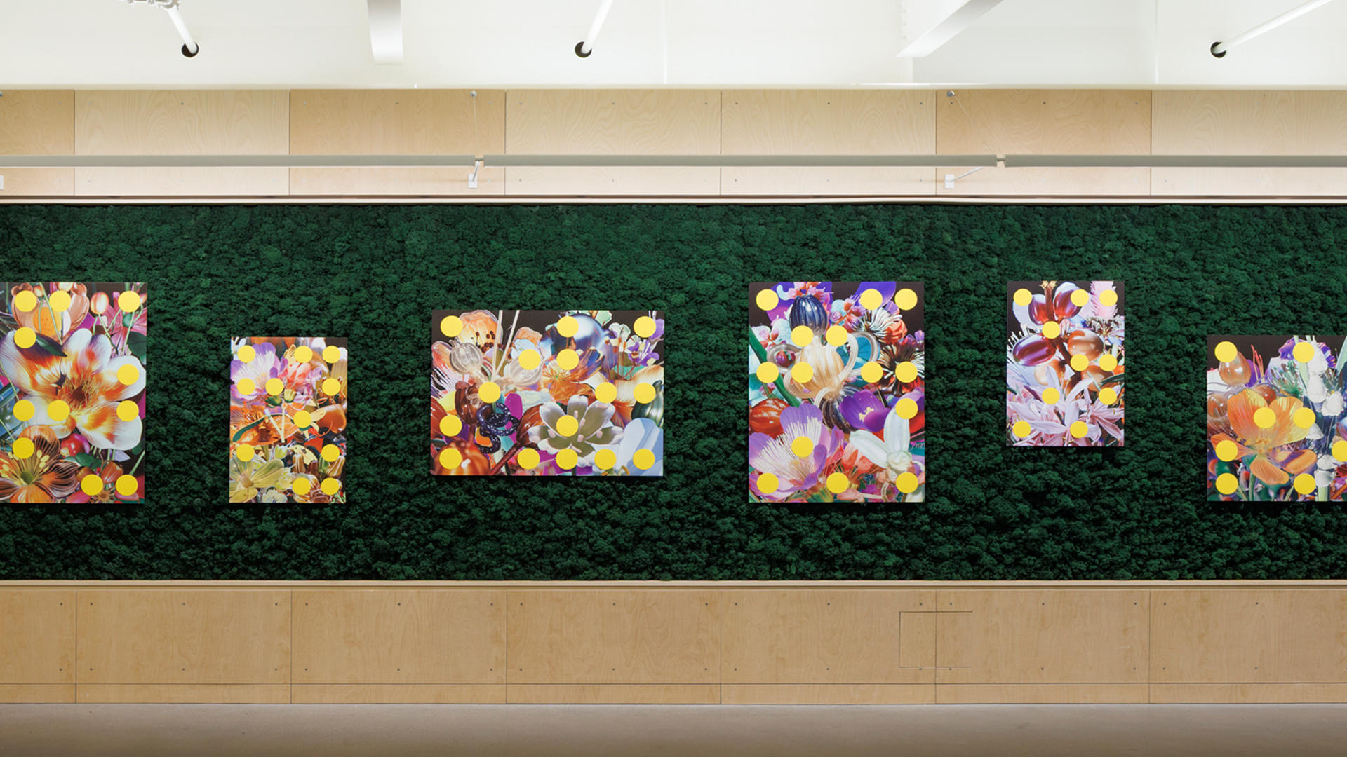 Six colorful floral prints with yellow circles on dark moss wall.