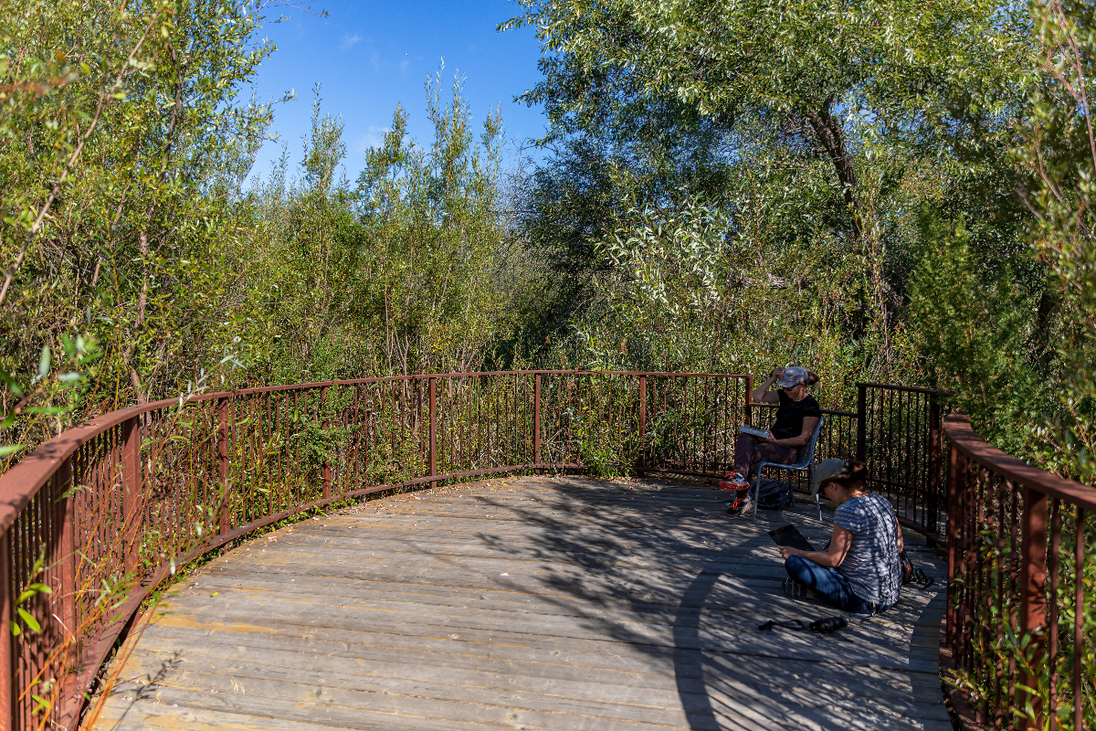 Two field researchers write in notebooks while sitting in a fenced-in area surrounded by greenery and trees.
