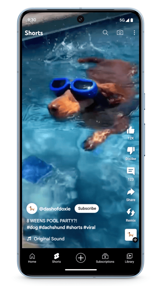 un vídeo de varios perros salchicha saltando a una piscina y usando gafas protectoras para perros. Alguien da vueltas para buscar las gafas y rápidamente descubre más información sin salir del vídeo