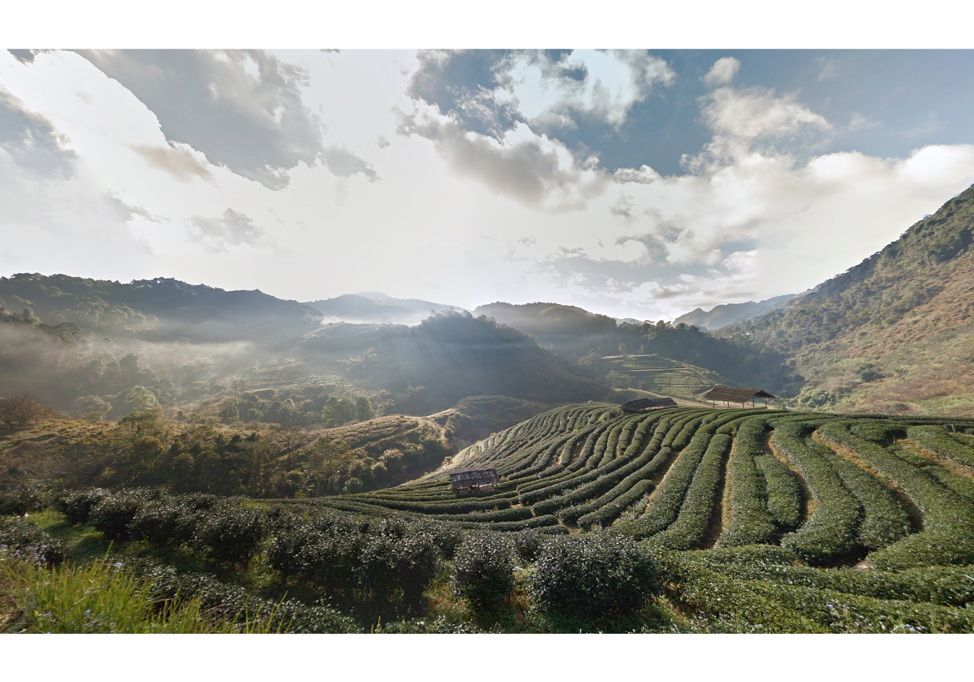 Doi Angkhang, Thailand