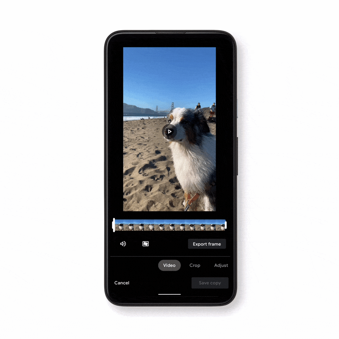 Animated GIF showing a phone with a video of a dog on the screen. The phone scrolls through granular edits to apply to the video.