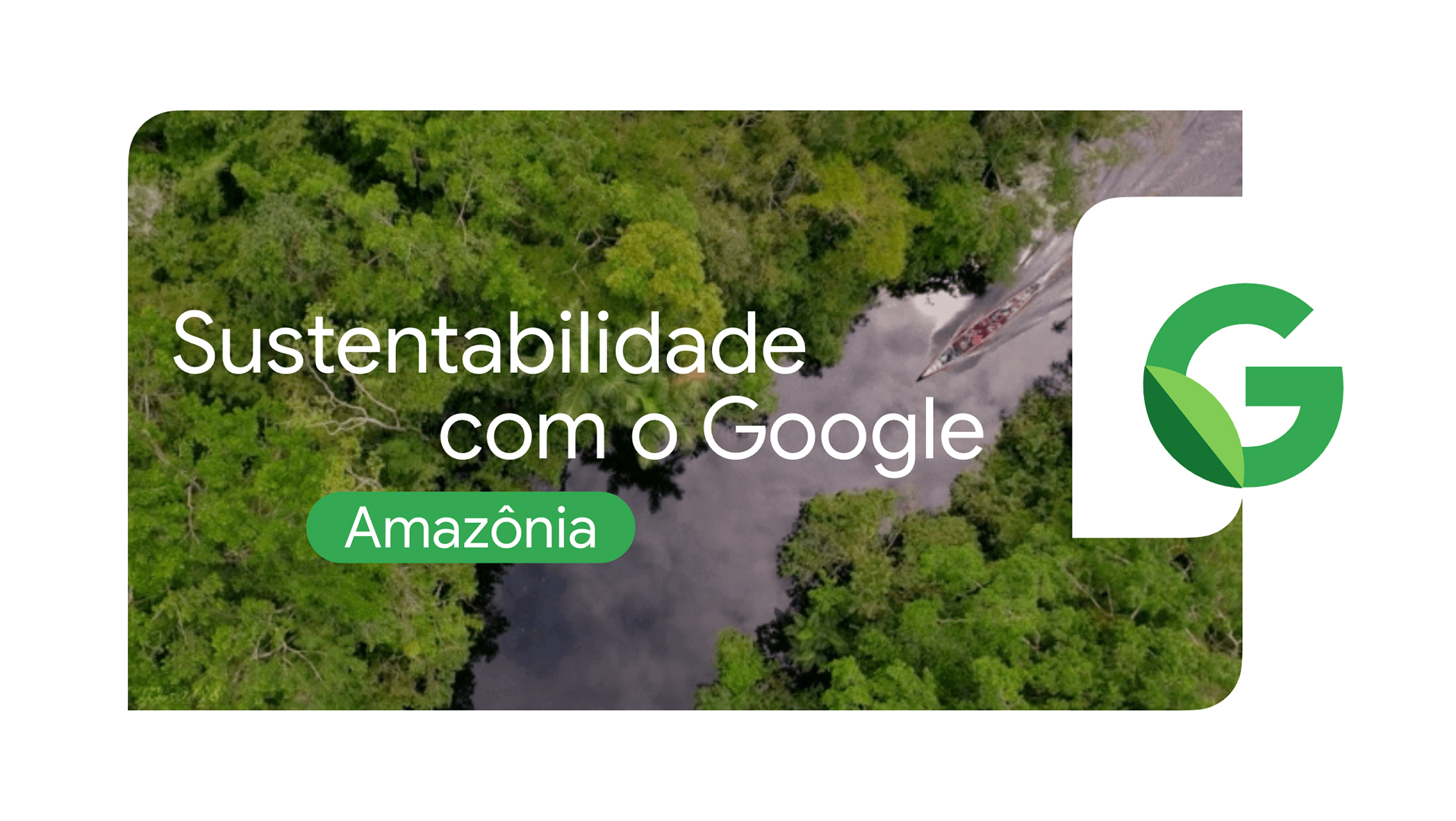 Sustentabilidade com o Google: ajudando a preservar a Amazônia e a