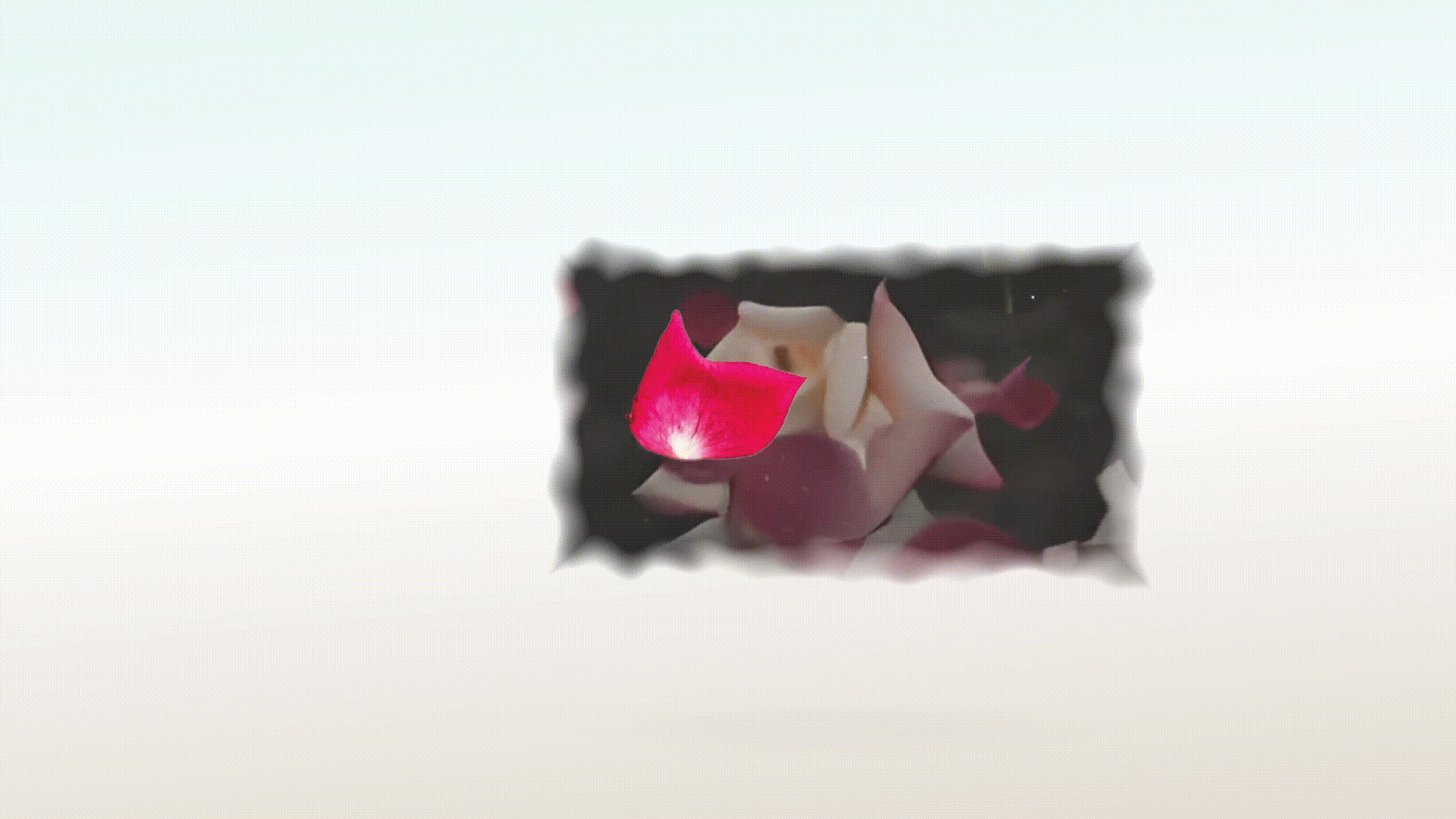 a screen recording of the Haiku Imagined experiment where a rose is dancing in the summer breeze