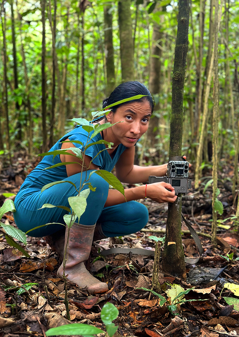 Pesquisadora trabalhando em uma floresta
