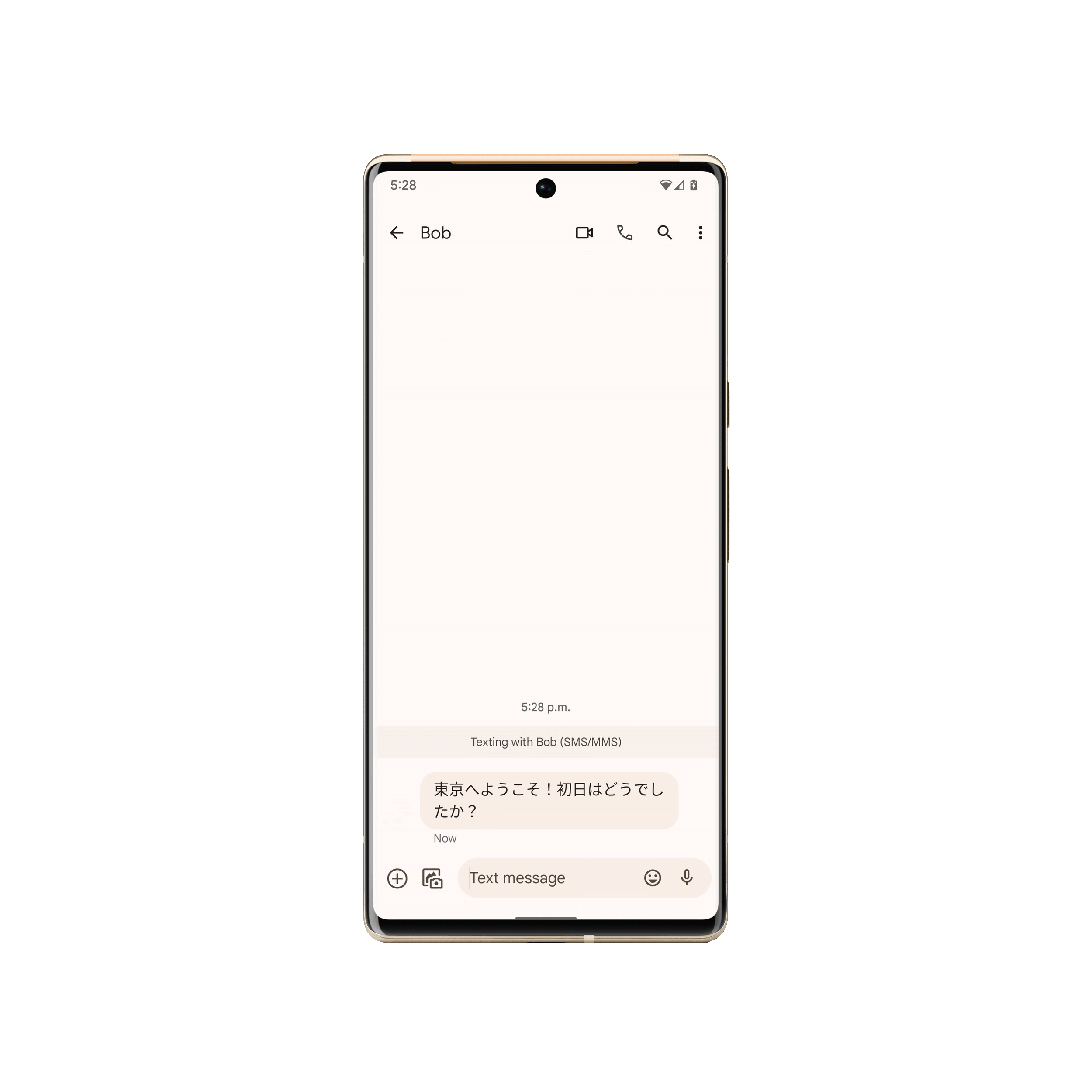 Animated GIF showing a Pixel 6 phone using interpreter mode.