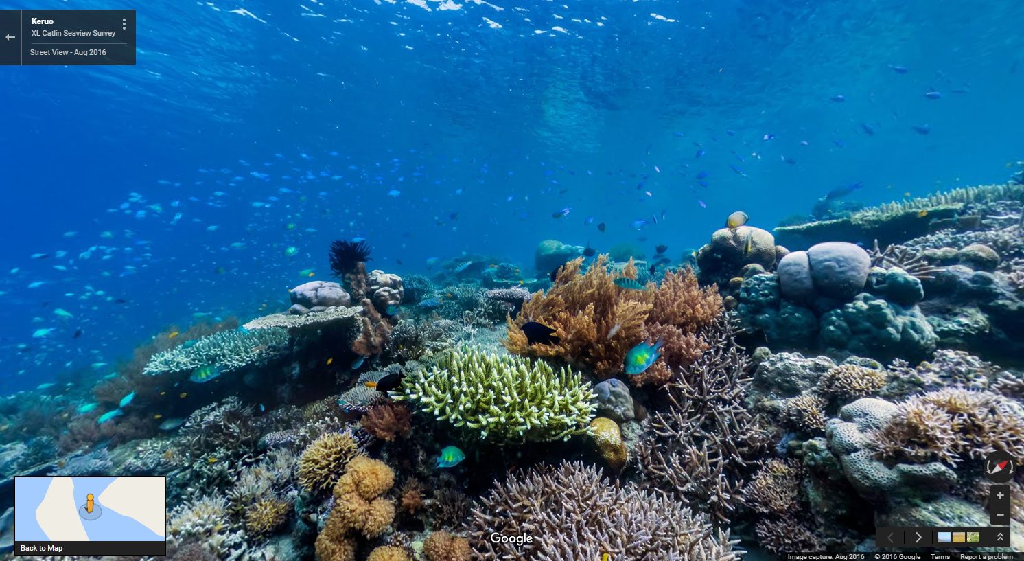 Maps - 08_08 - Dragons Turtles2.png