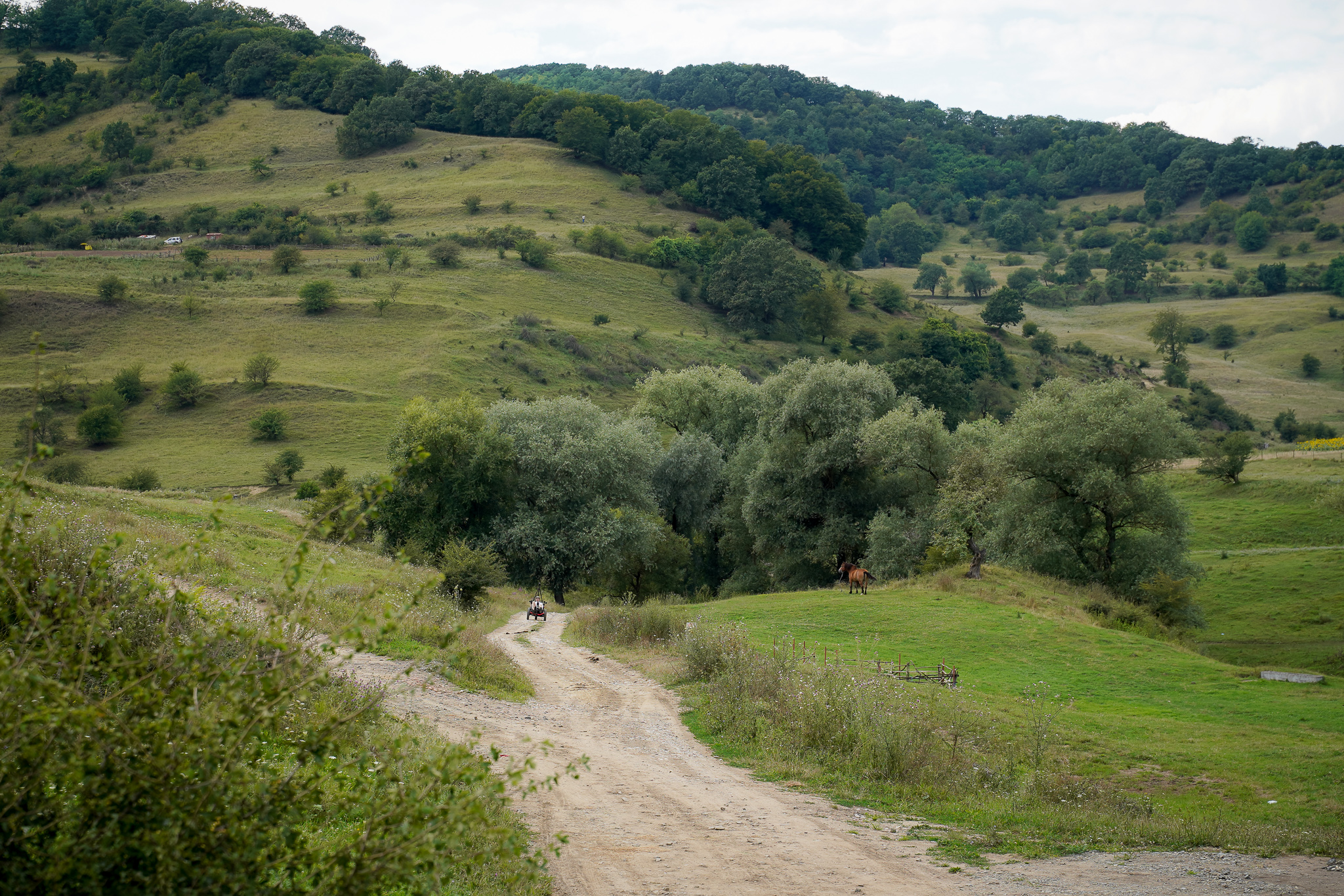 The trike crossing a wide green valley.