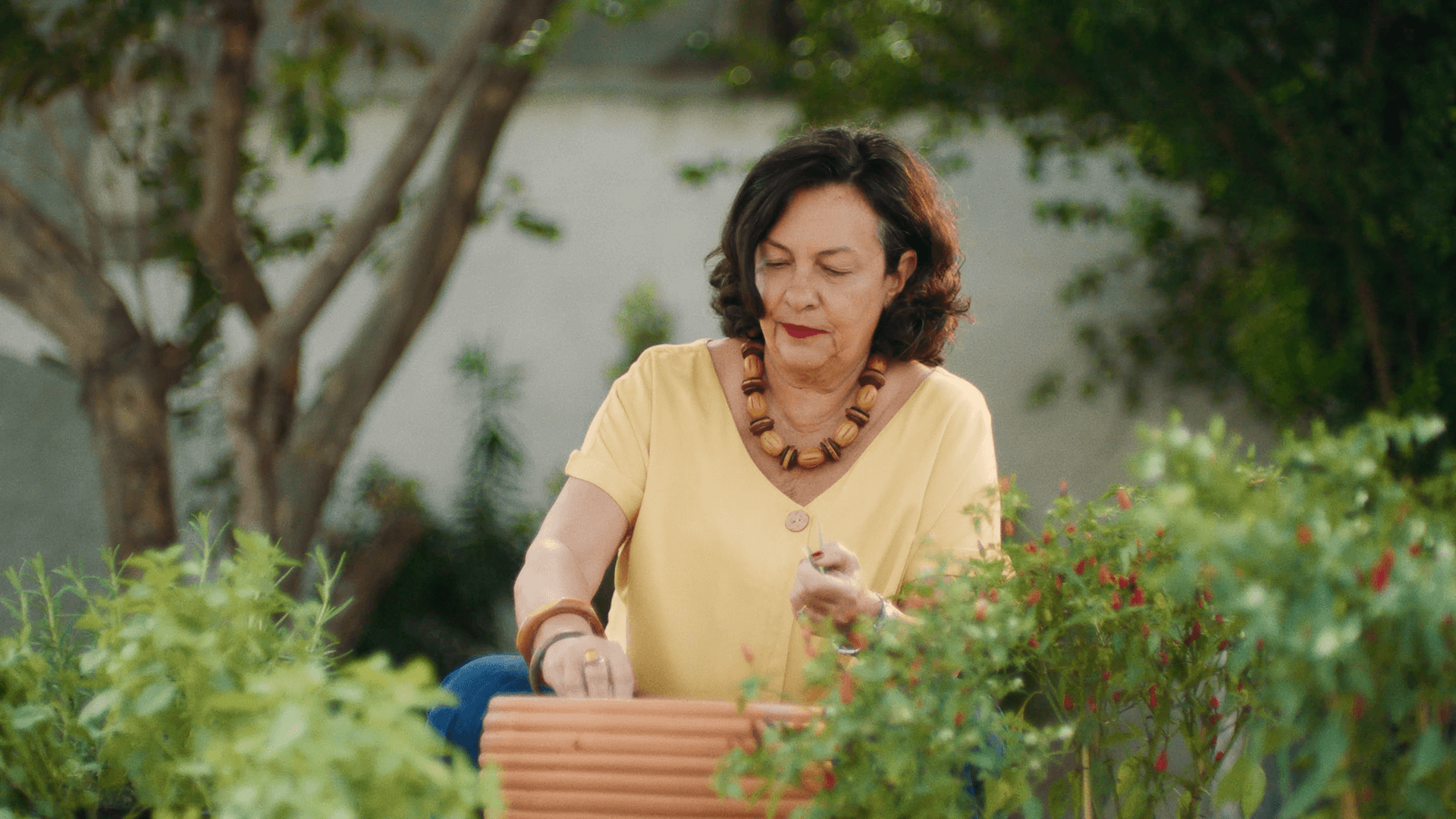 Papel Semente - São Gonçalo/RJ:  Cria produtos de papel reciclado com sementes que viram flores e temperos. A empresa usa o Gemini no Meet para anotar tudo o que é discutido em reunião, fazendo um resumo e organizando os próximos passos.