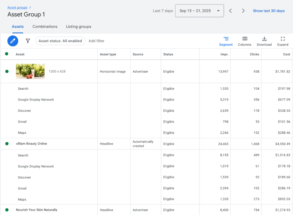 Google Ads UI showing segmentation by networks.