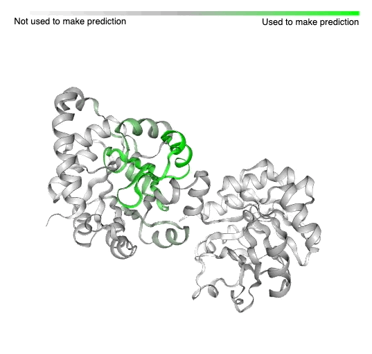 a depiction of a revolving model of a previously-solved protein structure