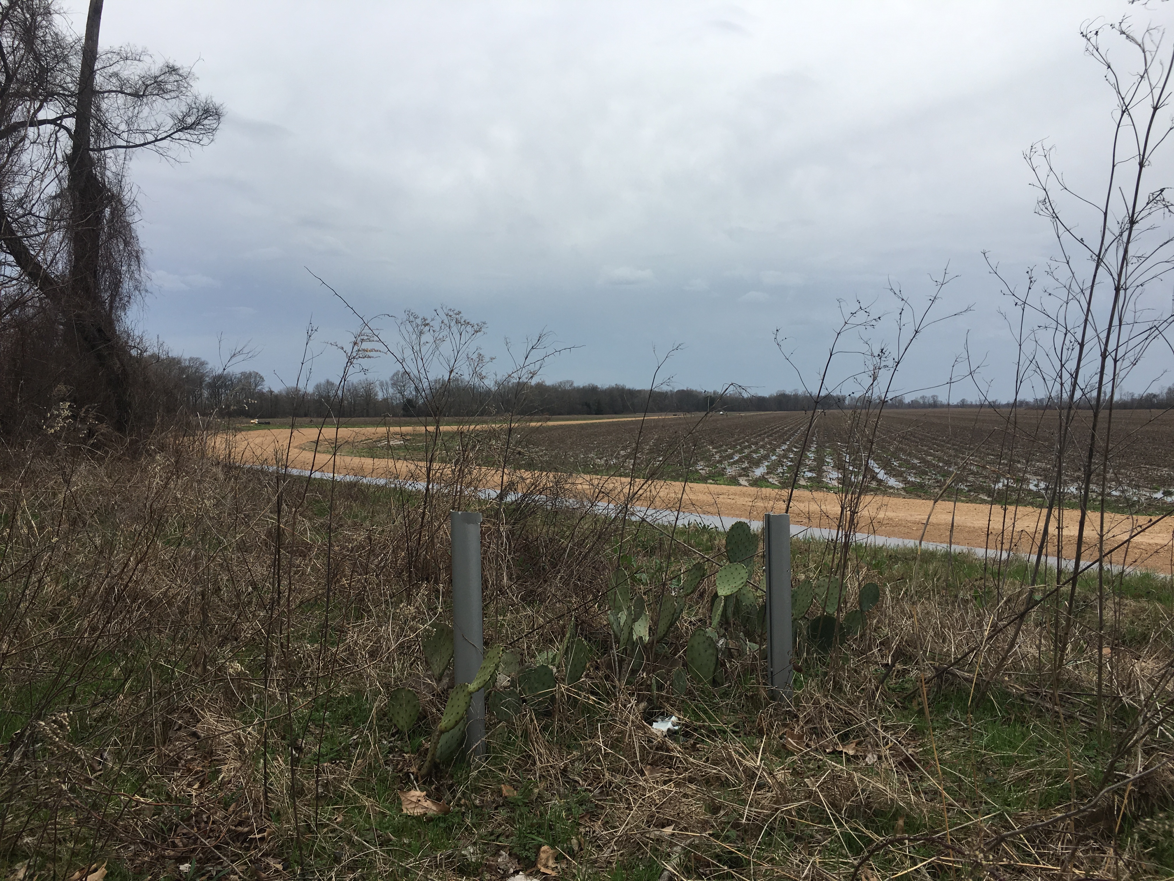 River Marker Site.JPG