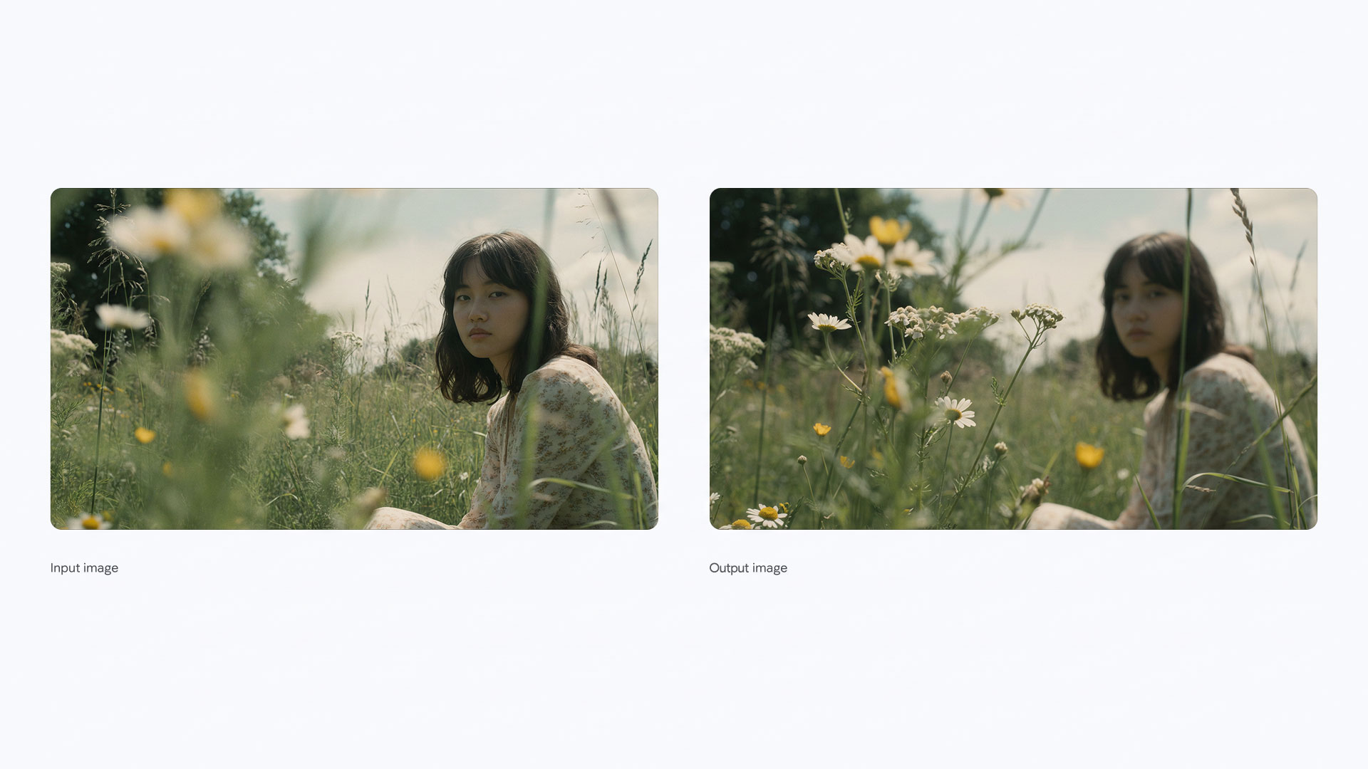 Cambia el punto focal  de la imagen