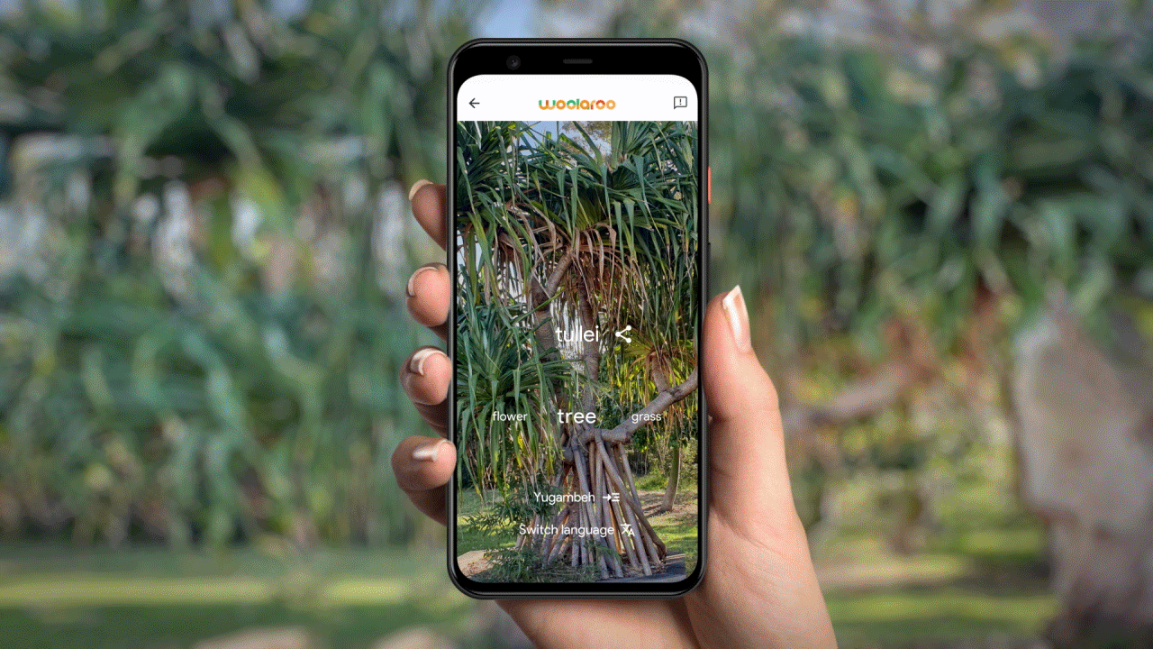 Animated GIF of a hand holding a phone that shows nature pictures that reflect the background.