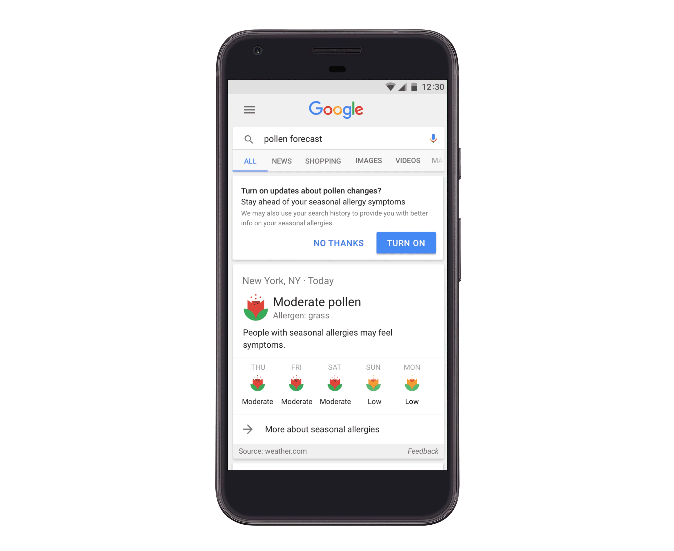google-preps-for-allergy-season-with-pollen-forecasts-in-search-ubergizmo