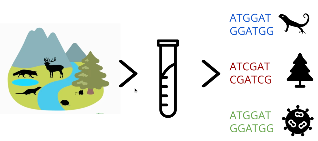 Imagem com ilustracoes sobre a eDNA Explorer