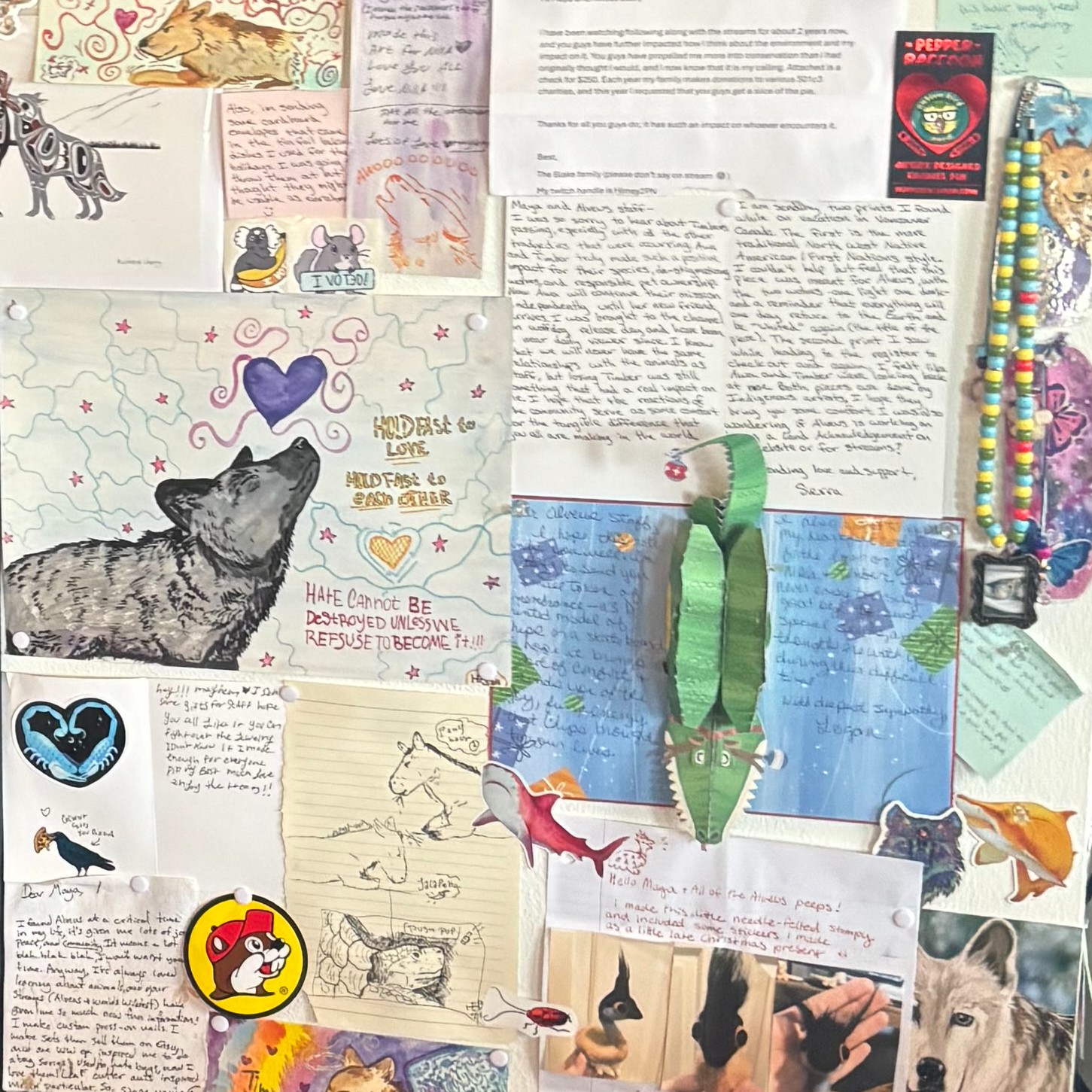 A collage wall covered in handwritten letters, fan art, drawings of animals like wolves and sharks, and stickers from supporters sent to the Alveus sanctuary.