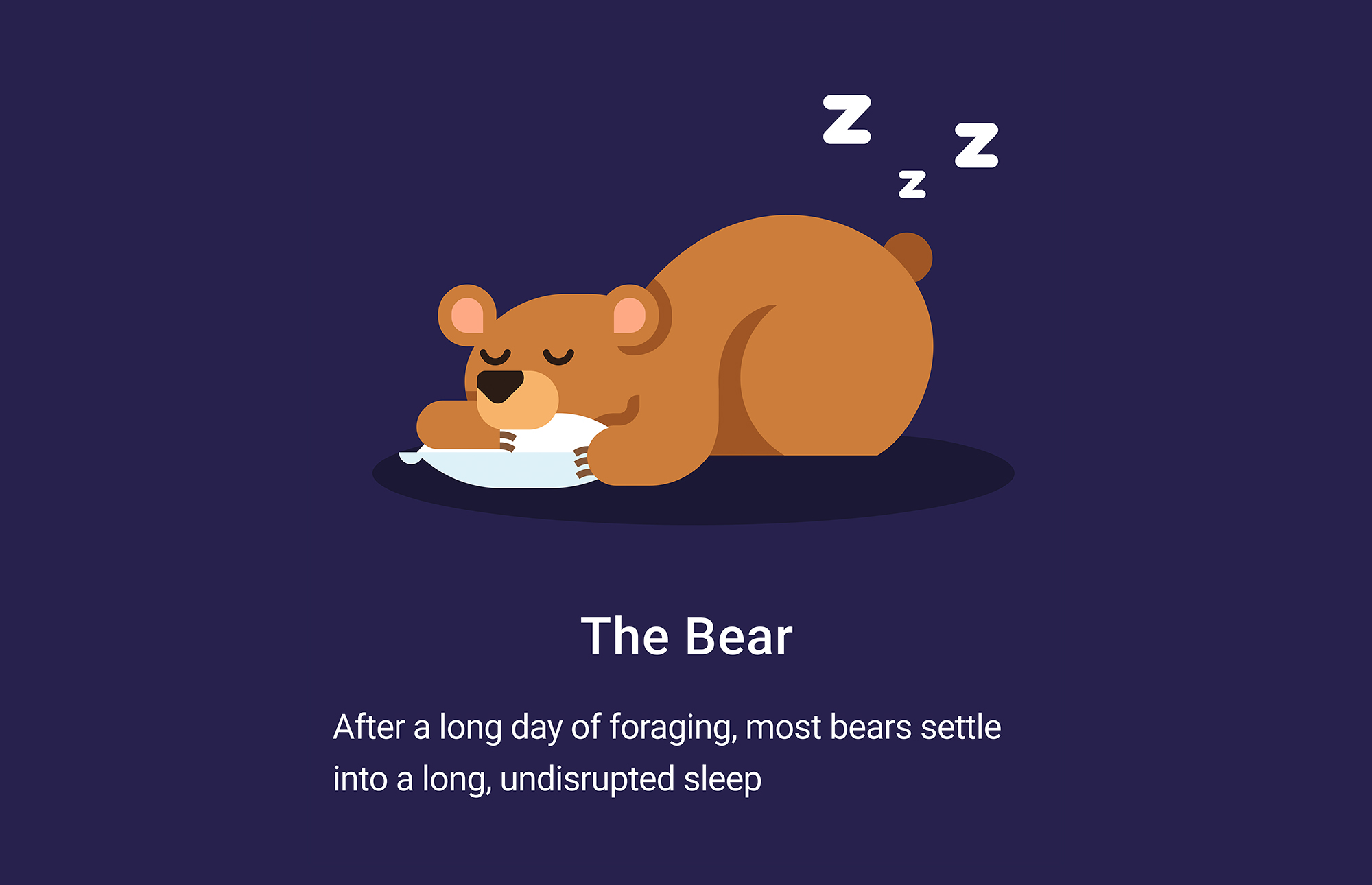 An illustration of a cartoon sleeping bear holding a pillow. Under it, it reads: “The bear. After a long day of foraging, most bears settle into a long, disrupted sleep.”