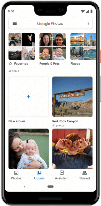 Google Photos Album Live