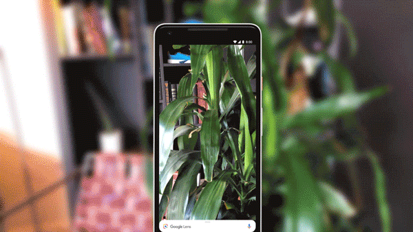 Google lens bekerja secara instan