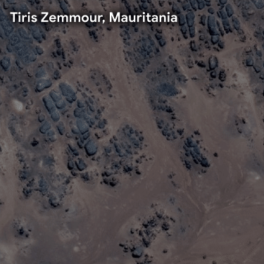 A satellite view of Tiris Zemmour, Mauritania, with building footprints from Open Buildings v1 and v2.