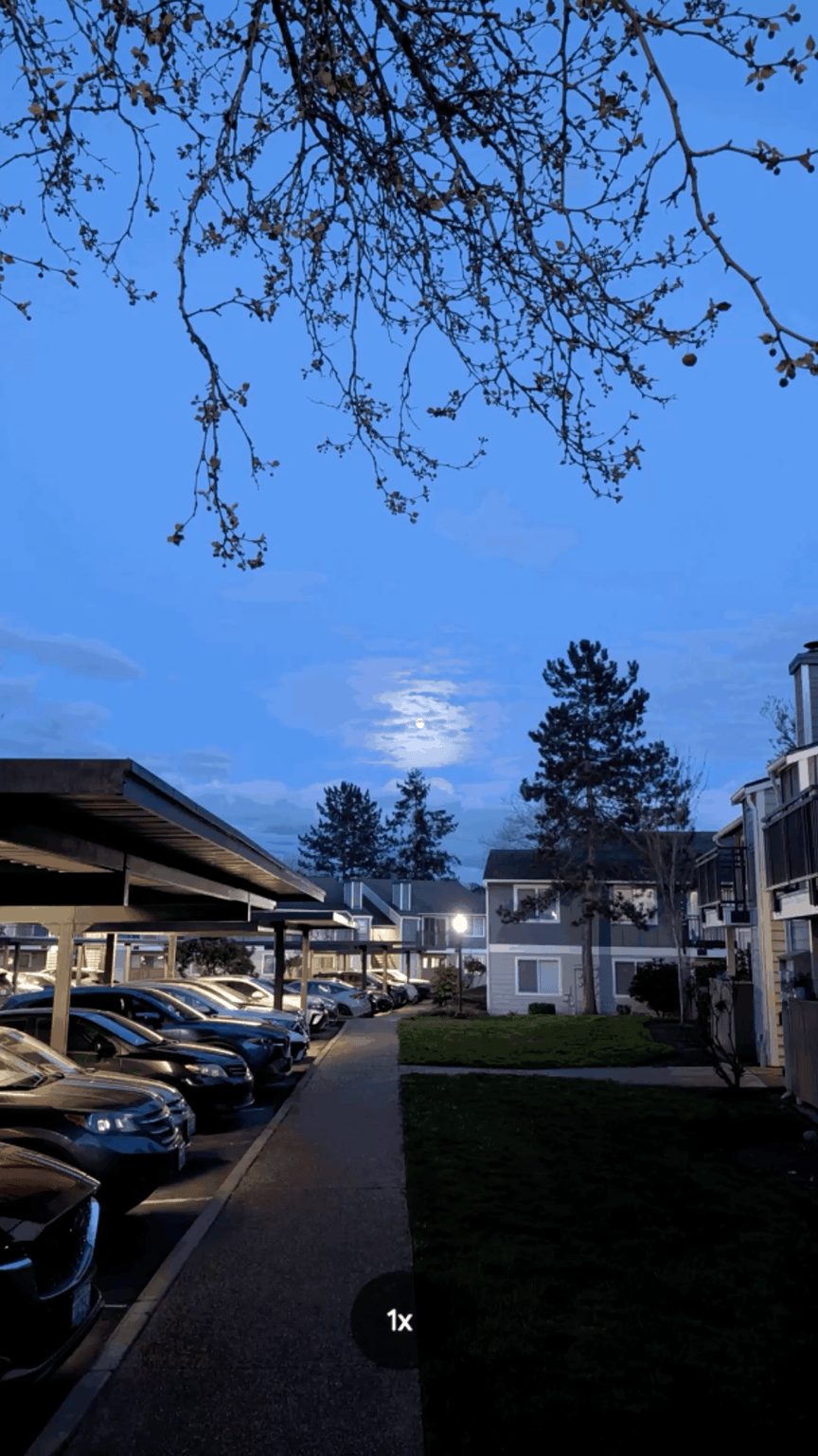 A zoom sequence of the moon using 100x Pro Zoom