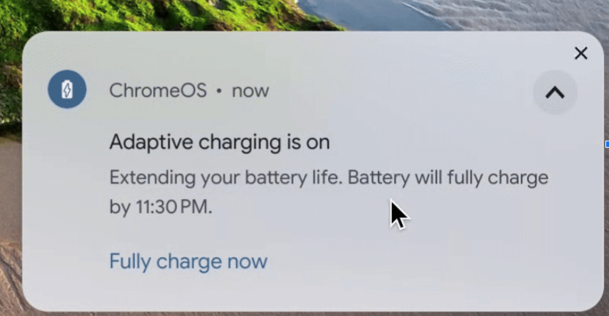 Settings on Chromebook and the adaptive charging feature