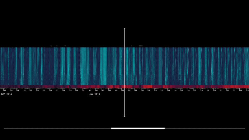 Zooming in on the spectrogram shows you individual sounds.