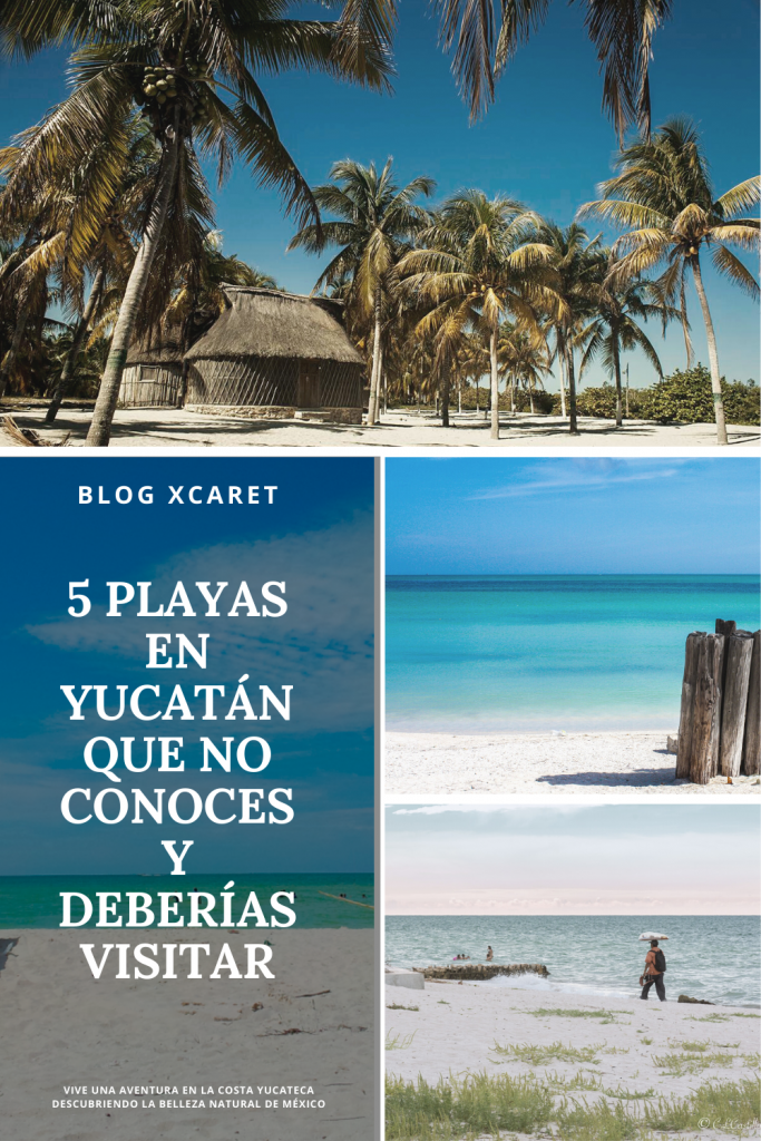 5 PLAYAS EN YUCATÁN QUE NO CONOCES Y DEBERÍAS VISITAR