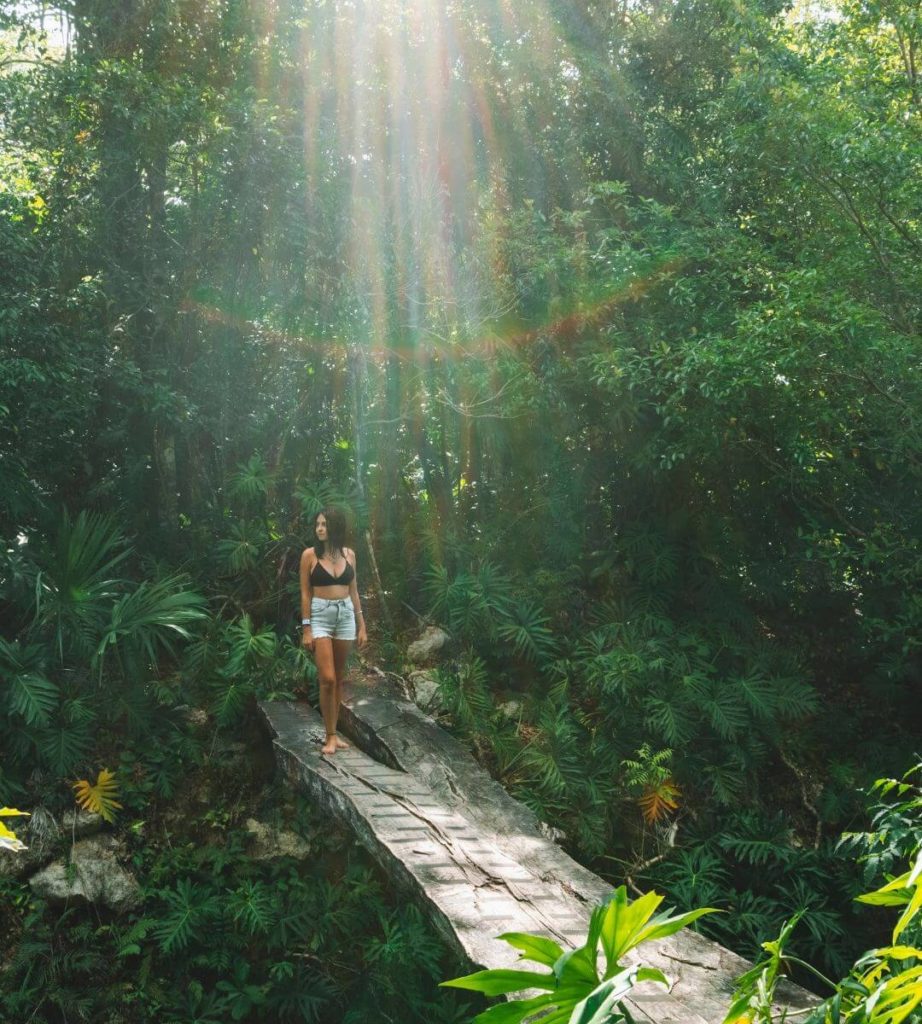  Expedición por el cenote K'áak' en Puerto Morelos 