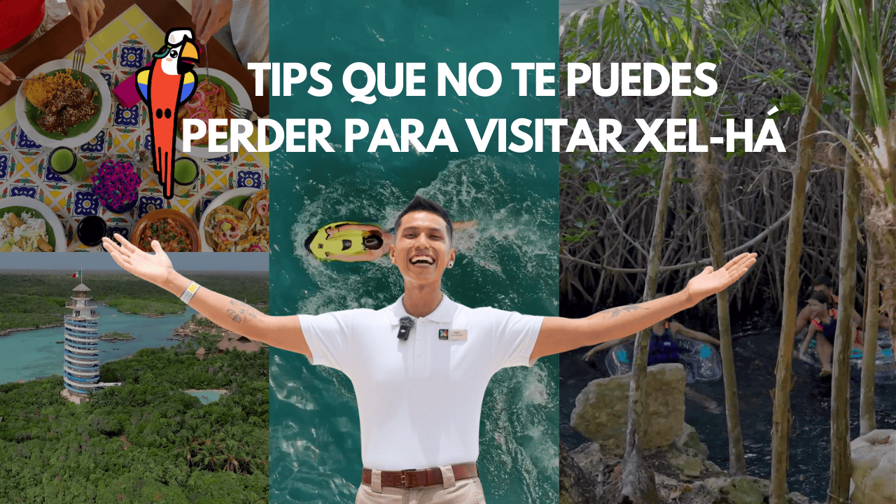 TIPS que no te puedes perder para visitar Xel-Há