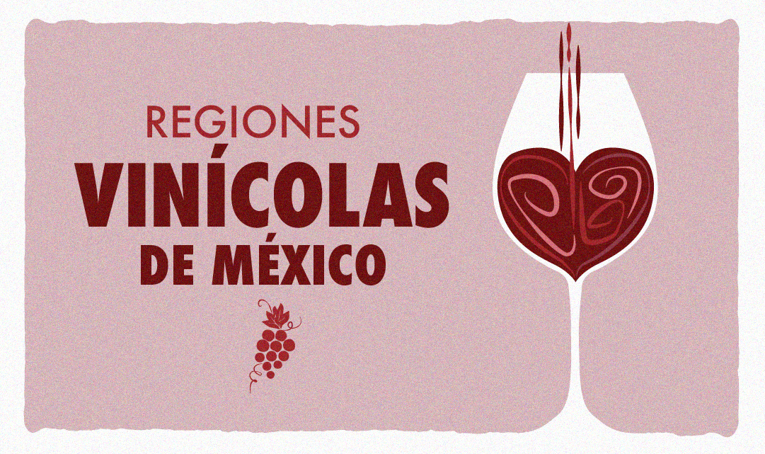 7 Lugares para probar los mejores vinos mexicanos