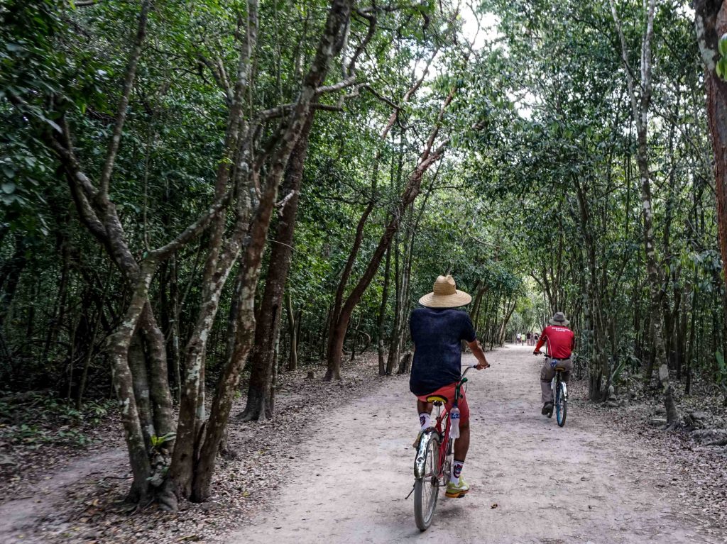 20 actividades de aventura que puedes hacer en el Caribe Mexicano