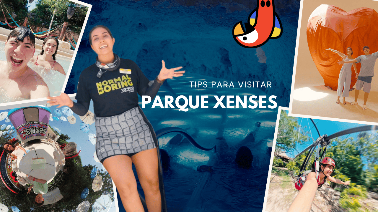 Guía rápida de Xenses: tips para tu próxima visita