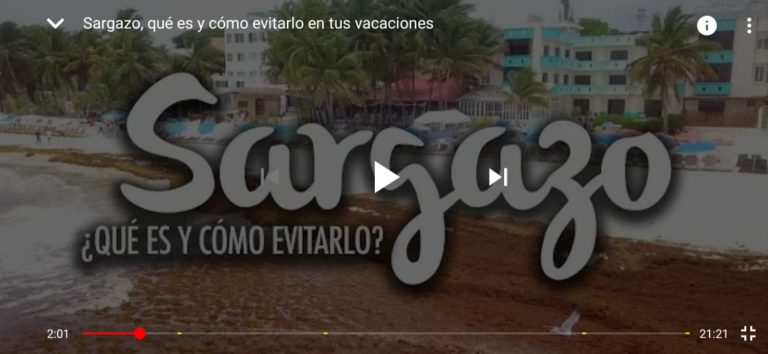 sargazo-Youtube-768x354