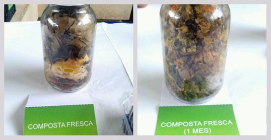 Tour du bac à compost 101