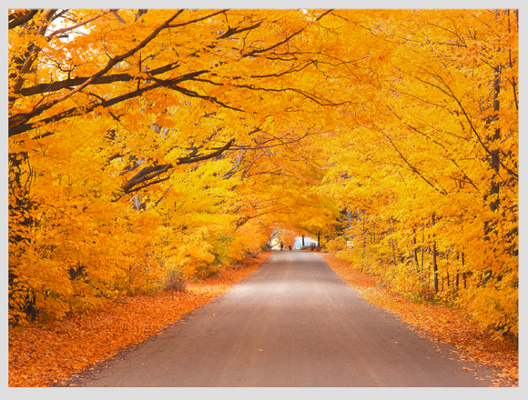 canada-landscapes-vermont