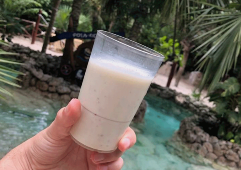 6 Exotic Dishes And Drinks You Should Try In The Riviera Maya Xcaret Blog Read About Travel 2079