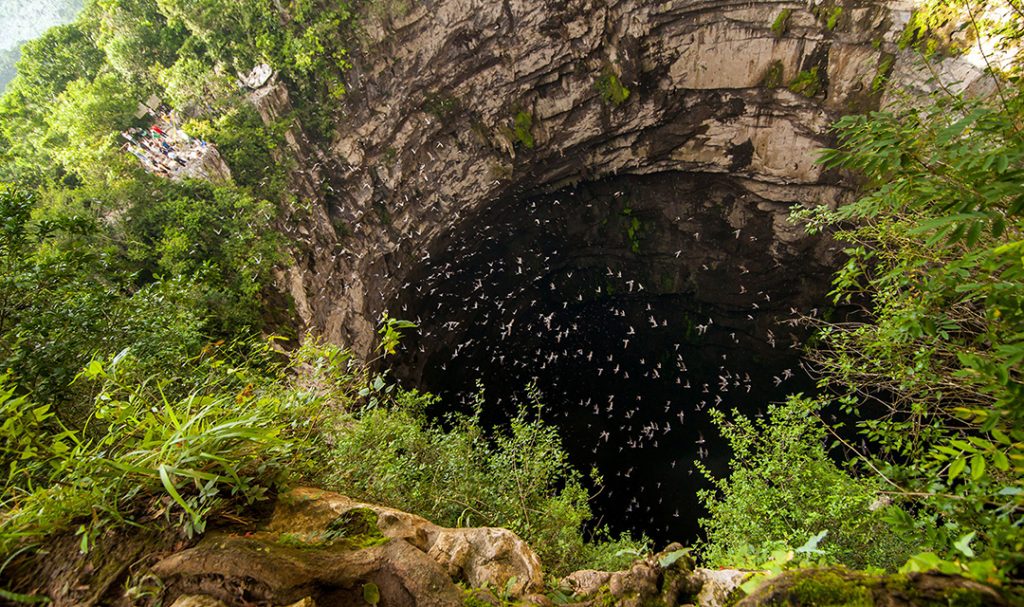 10 Espectáculos Naturales En México